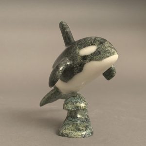 Orca _  Johnnysa Mathewsie