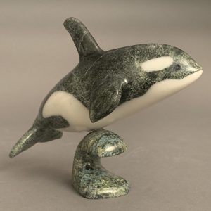 Orca _  Johnnysa Mathewsie