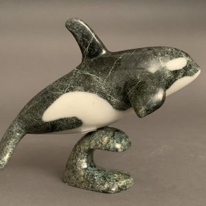 Orca _  Johnnysa Mathewsie