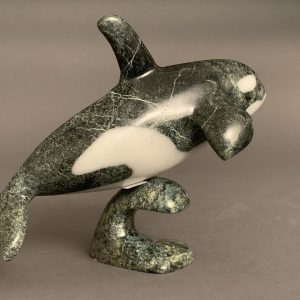 Orca _  Johnnysa Mathewsie