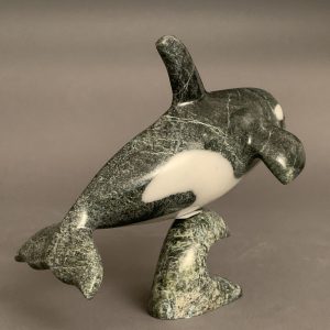 Orca _  Johnnysa Mathewsie