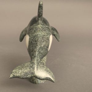 Orca _  Johnnysa Mathewsie