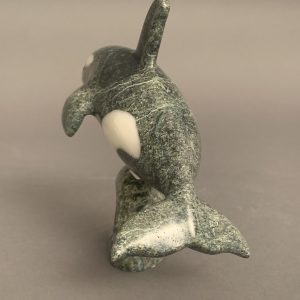 Orca _  Johnnysa Mathewsie