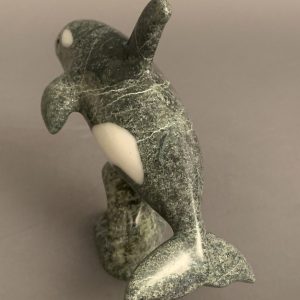 Orca _  Johnnysa Mathewsie