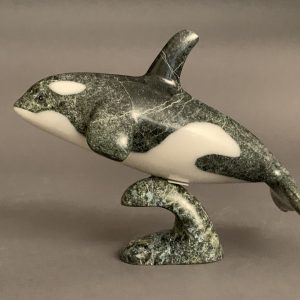 Orca _  Johnnysa Mathewsie
