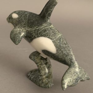 Orca _  Johnnysa Mathewsie