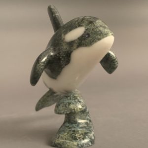 Orca _  Johnnysa Mathewsie