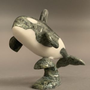 Orca _  Johnnysa Mathewsie