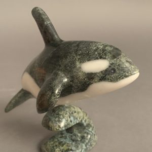 Orca _  Johnnysa Mathewsie