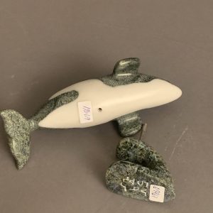 Orca _  Johnnysa Mathewsie