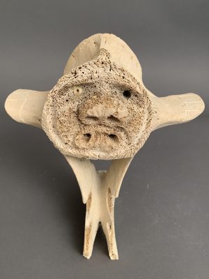 sea spirit _ Simon Uttaq