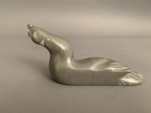Jimmy Iqaluq Jr.  _ Duck