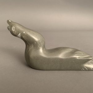Jimmy Iqaluq Jr.  _ Duck