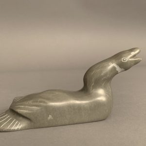 Jimmy Iqaluq Jr.  _ Duck