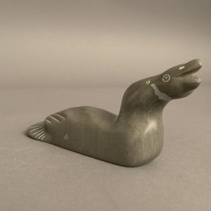 Jimmy Iqaluq Jr.  _ Duck
