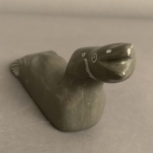 Jimmy Iqaluq Jr.  _ Duck