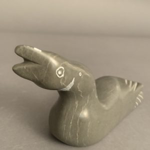 Jimmy Iqaluq Jr.  _ Duck