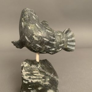 Dancing Seal _Putuguk Ashevak