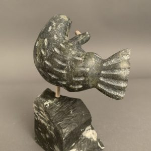 Dancing Seal _Putuguk Ashevak