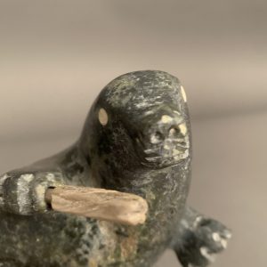 Dancing Seal _Putuguk Ashevak