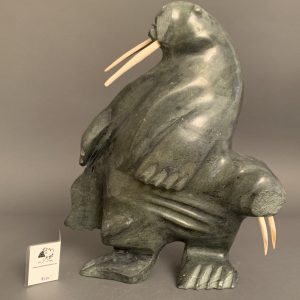 Walruses _  Kiponik Arlooktoo