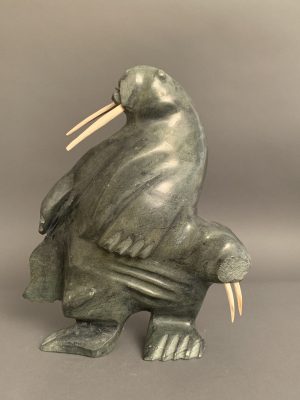Walruses _  Kiponik Arlooktoo