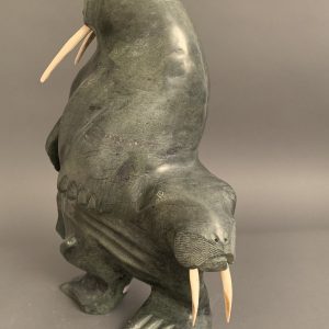 Walruses _  Kiponik Arlooktoo