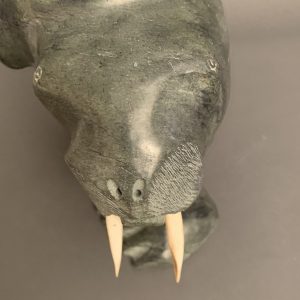 Walruses _  Kiponik Arlooktoo