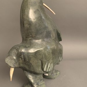 Walruses _  Kiponik Arlooktoo