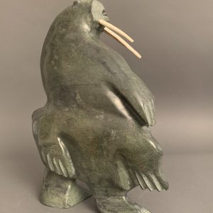 Walruses _  Kiponik Arlooktoo