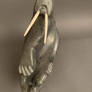 Walruses _  Kiponik Arlooktoo