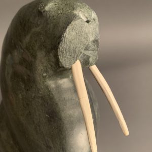 Walruses _  Kiponik Arlooktoo