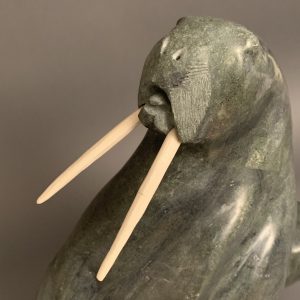 Walruses _  Kiponik Arlooktoo