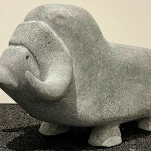 Muskox _ Simionie Hakuluk