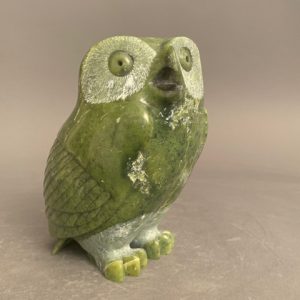 Beautiful Owl