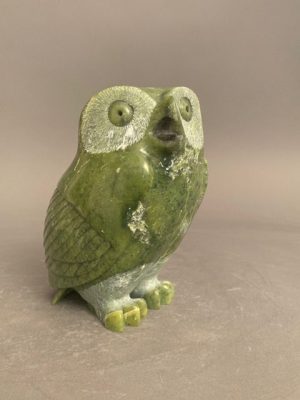 Beautiful Owl