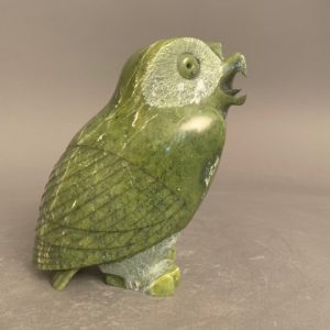 Beautiful Owl