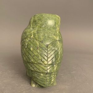 Beautiful Owl