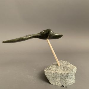 Bird _  Joe Poodat