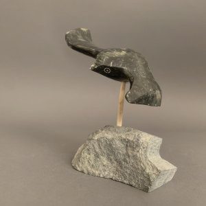 Bird _  Joe Poodat