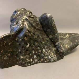 Sedna _ Leo Uttaq