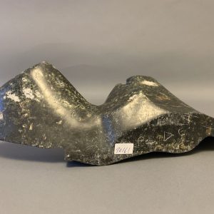 Sedna _ Leo Uttaq