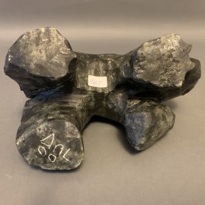 Bear _  Simon Uttaq