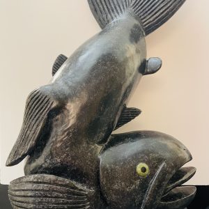 Fish_ Toonoo Sharky