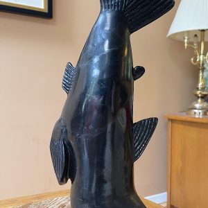 Fish_ Toonoo Sharky