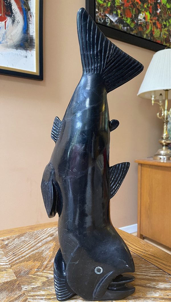 Fish_ Toonoo Sharky