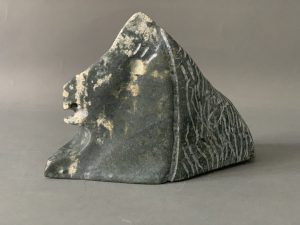 Muskox _ Albert Qayutinnuaq