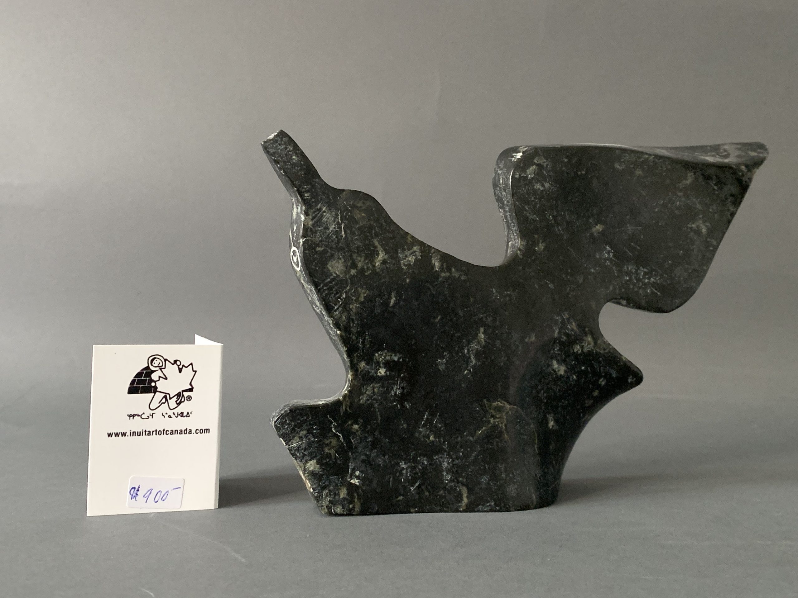 Bird _ Joe Poodat Bird _ Joe Poodat