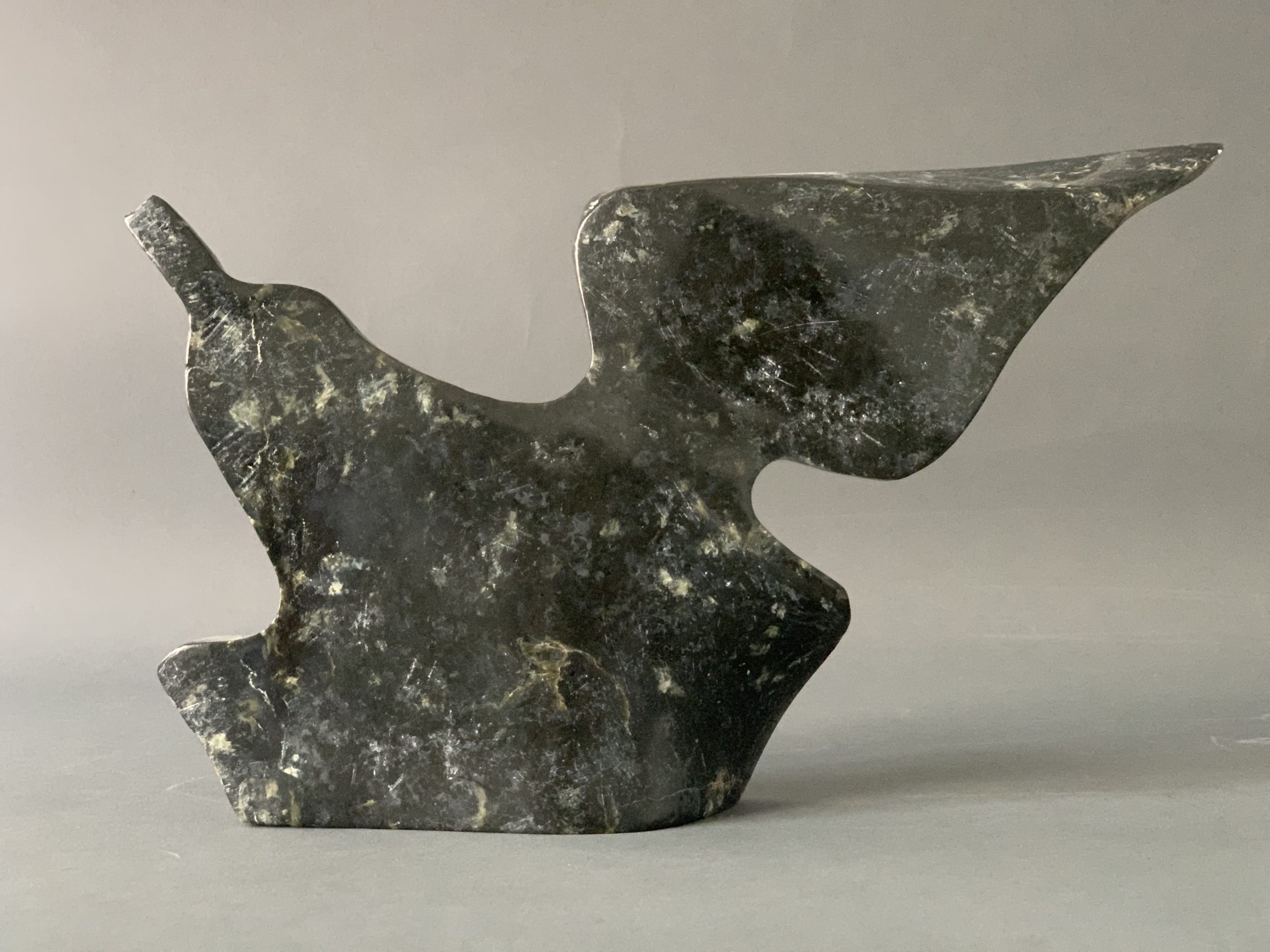 Bird _ Joe Poodat Bird _ Joe Poodat