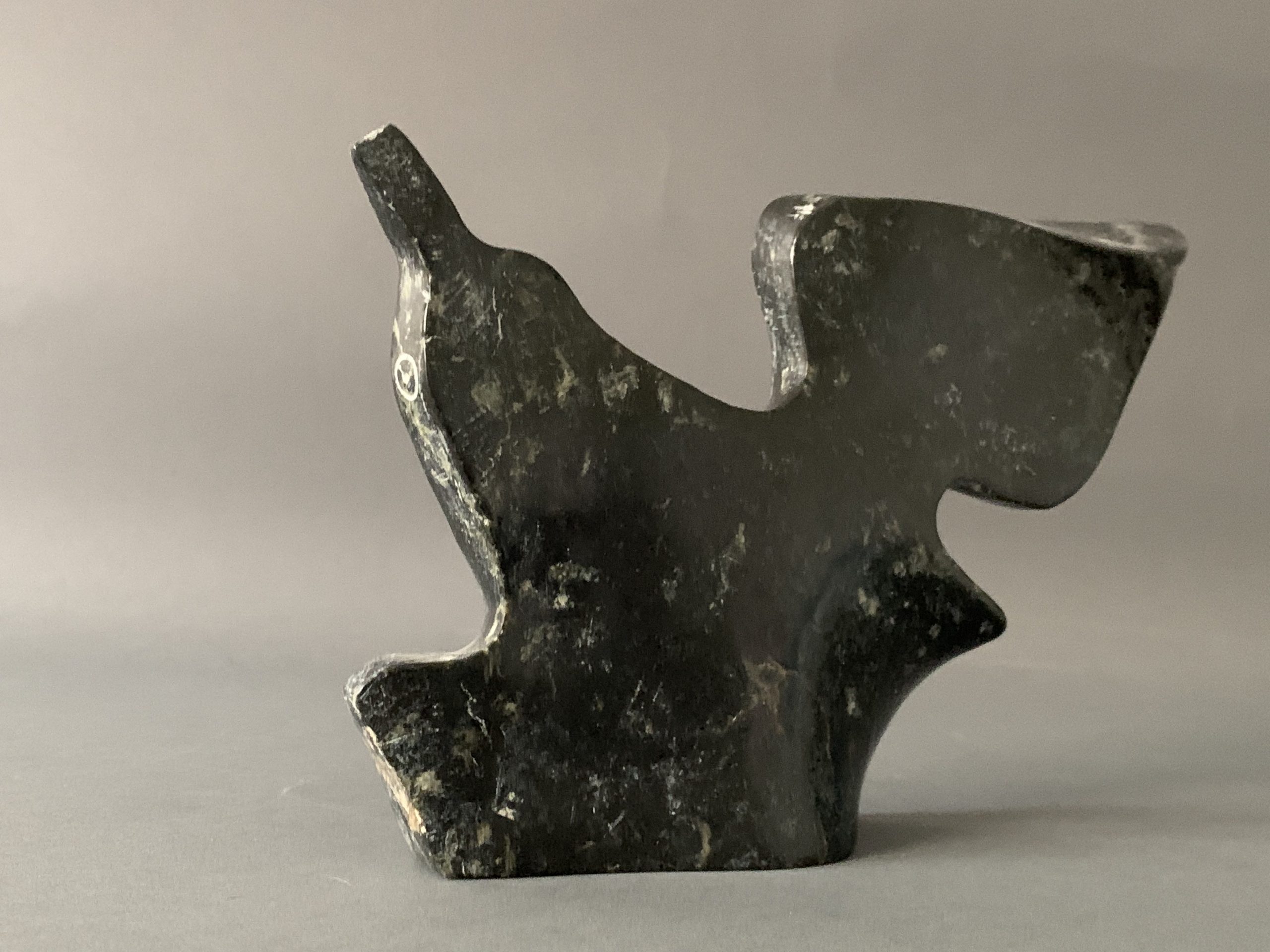 Bird _ Joe Poodat Bird _ Joe Poodat